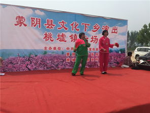 蒙阴桃墟镇开展送文化下乡文艺演出暨文化艺术交流活动